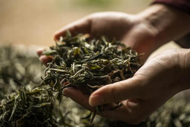 茶叶入菜，这样的美食你吃过几道？