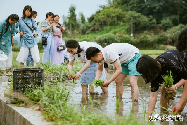 摆摊，迎接充满烟火气的夏天