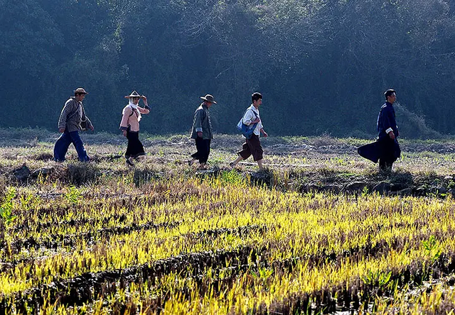 独辟蹊径、悬疑丛生，一群小人物的悲壮抗战之路