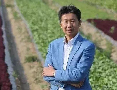 农业大有可为，他靠种菜资产过亿，你还怕当农民吗？