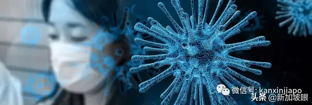 一篇文章说清楚：到底要不要在新加坡戴口罩？