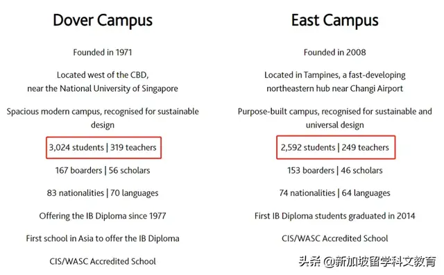 新加坡政府学校 VS 国际学校，最全优劣势对比分析，先Mark再看