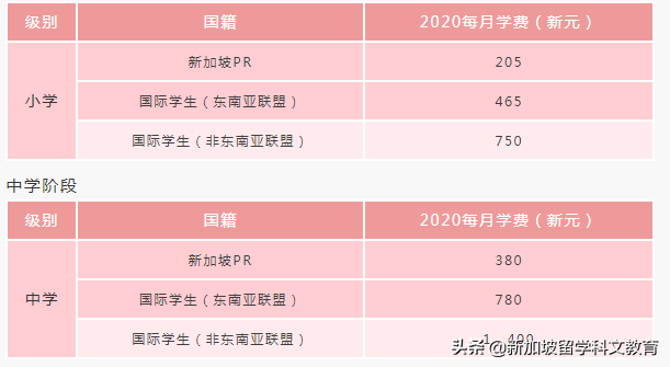 新加坡政府学校 VS 国际学校，最全优劣势对比分析，先Mark再看