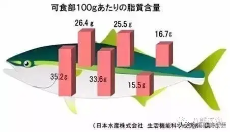 这种鱼受日料偏爱，鲜嫩多油脂，名字不断变换，价钱也不断上升