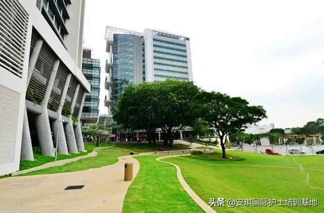 新加坡医院护理特色