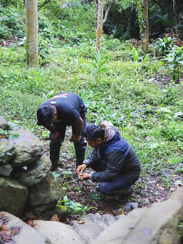 一个米其林厨师，带全家隐居深山开餐厅，想吃要等两年