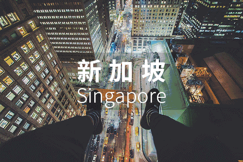 优质的海外市场综合分析——新加坡