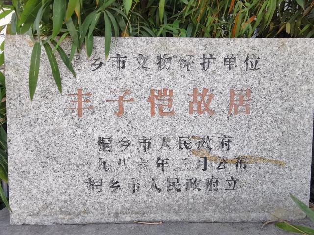 丰子恺和杭白菊的故乡，浙江桐乡，古镇石门静静地伫立在菊花香里