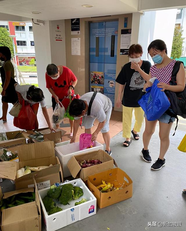 800公斤不起眼的蔬菜水果被救回，在社区免费发放