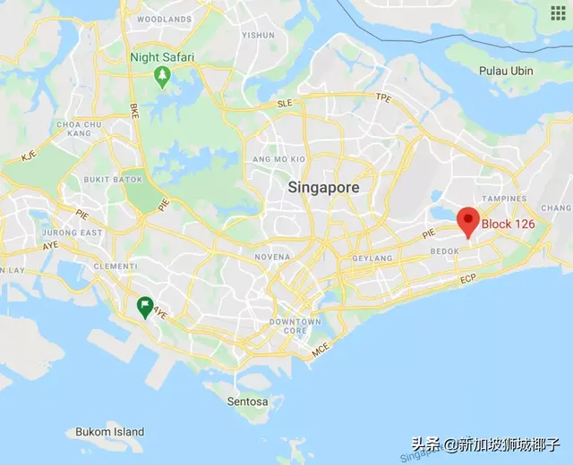 深扒新加坡幼儿园感染群18例！300家幼儿园今天起关闭！
