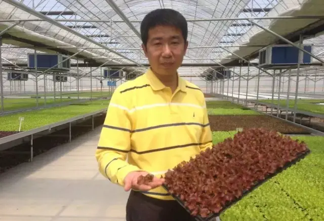 “亚洲生菜大王”马铁民，一个肯德基背后的男人，年销售4.8亿