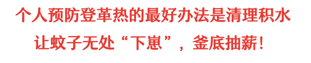 你家还在养蚊子？新加坡2万人感染登革热，史上最严重