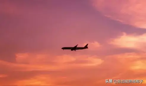 过于真实！第一批偷偷回国的人，已经哭成了狗...