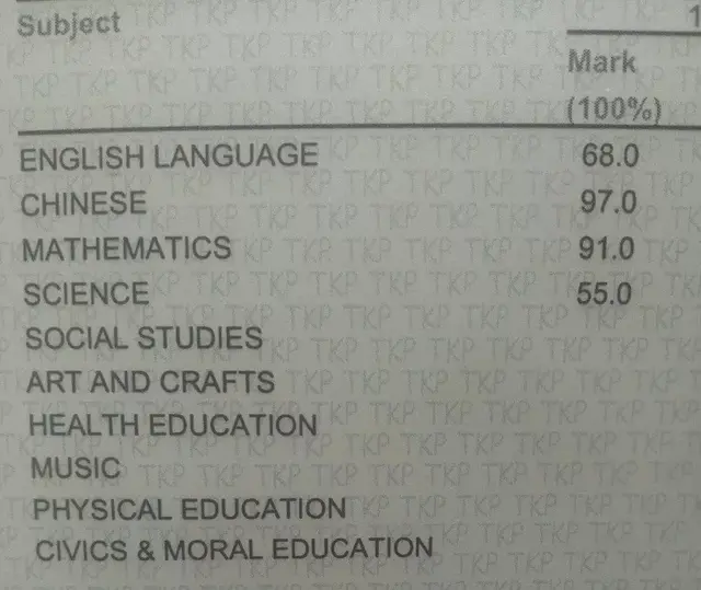 年少时留学新加坡？你们成为双语人才，我却成为了仨语分裂症患者