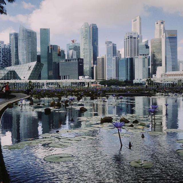 在新加坡 嫌单反太沉了于是全程用手机拍照地点：Marina Bay/Mandai Zoo/St. Andrew’s Cathedral/National GalleryiPhone7 × NOMO 1...