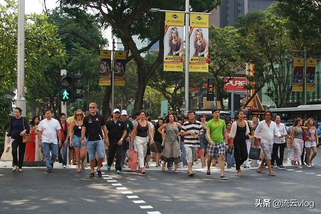 无所事事的在新加坡街头晃悠，寻找露天跳蚤市场淘宝失败