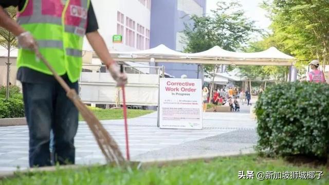 新加坡这个网红沦落路边扫垃圾