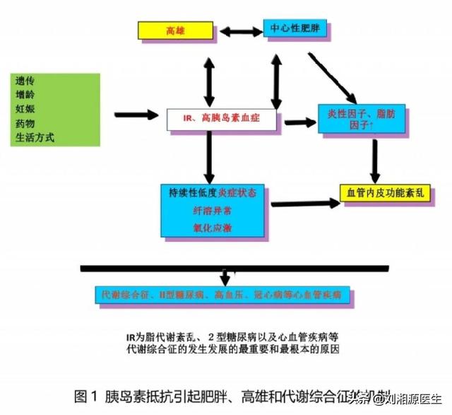 「免疫相关不良妊娠答疑解惑69」—胰岛素抵抗和血糖高