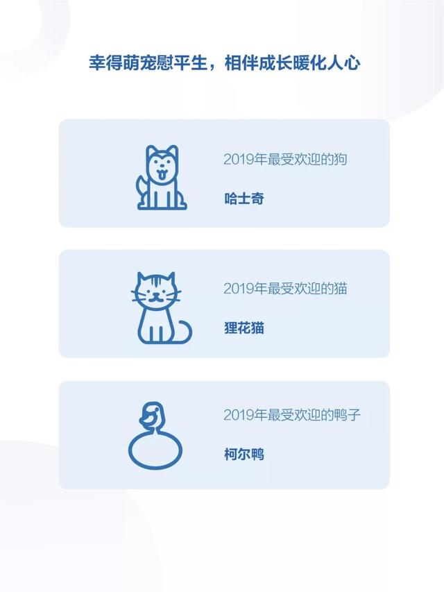 请查收！你有一份2019年抖音数据报告（完整版）