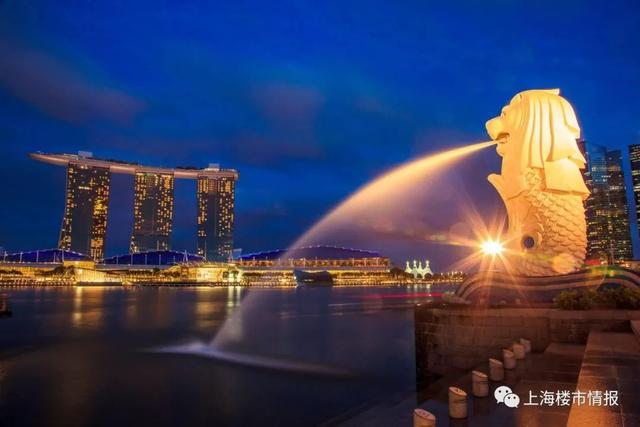 这轮“淘金热”，为什么在新加坡爆发