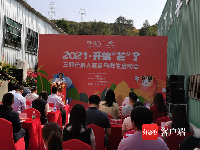 三亚芒果进驻盒马鲜生 为三亚特色农产品开拓市场搭建大平台