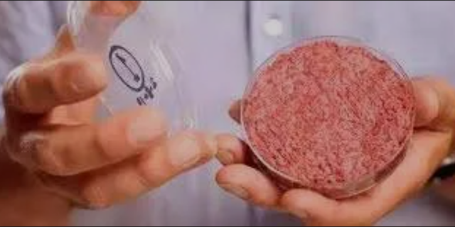 人造鸡肉、植物肉，在新加坡还能安安静静地吃口真肉吗？