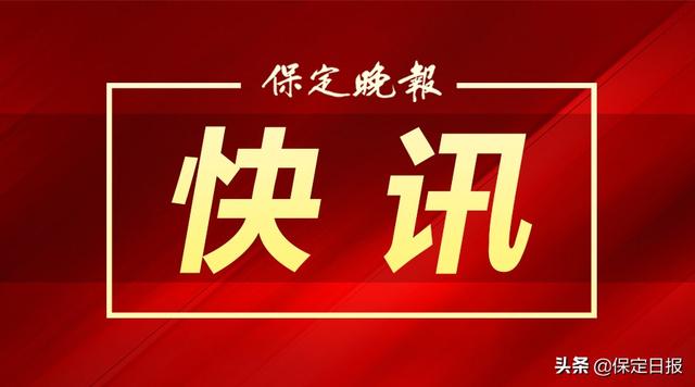 桑葚产业助力乡村振兴