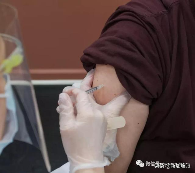 中国研发首个对多种变异株均有效疫苗；新加坡再爆客工宿舍感染群