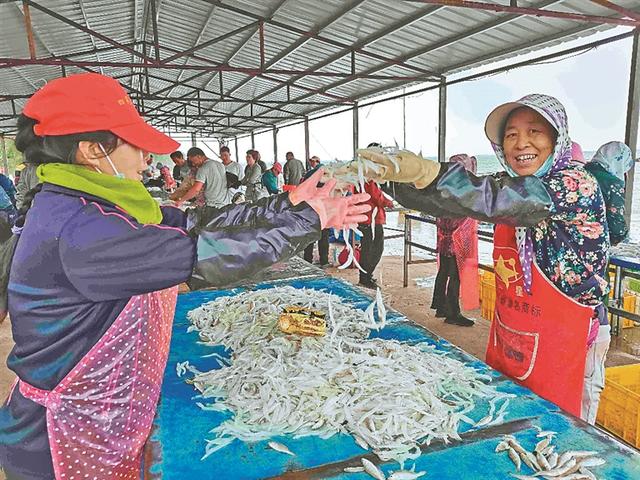 “南鱼北游”湖水生金 大庆市杜尔伯特蒙古族自治县大银鱼丰收了