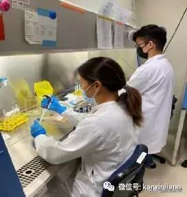 新加坡医疗界出现里程碑事件：抗肝癌TCR-T细胞疗法成为亚洲第一