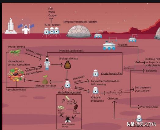 火星上的房屋？这种奇怪的生物材料 未来 或许可以用上？