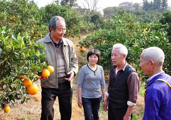 赣州脐橙，飘香世界