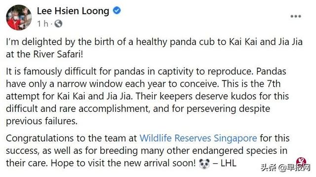 之前保密十足！来新加坡多年的大熊猫 今天生下了幼崽