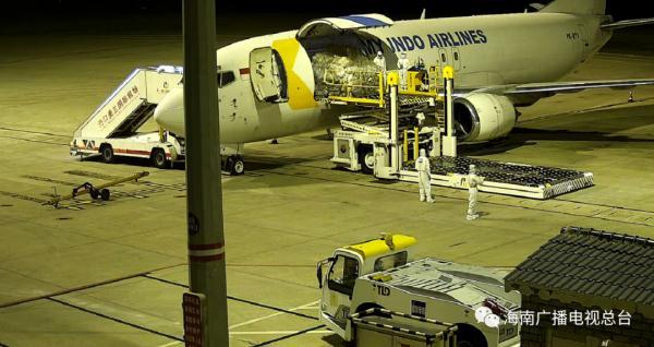 海口美兰机场国际及地区货运航线正式恢复