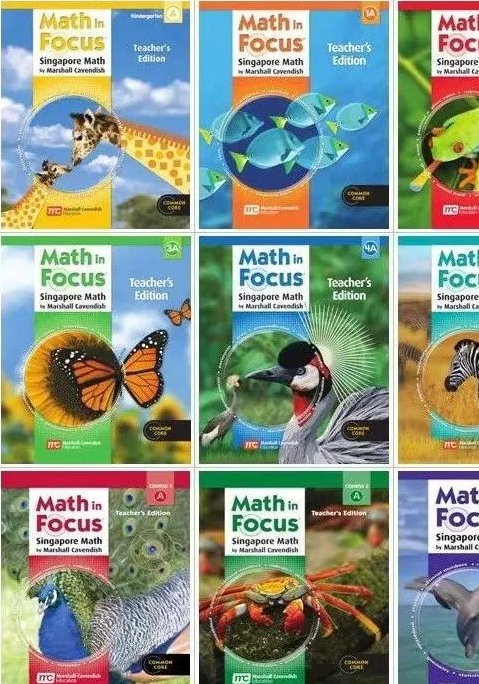 新加坡原版数学练习册 Math In Focus Workbook