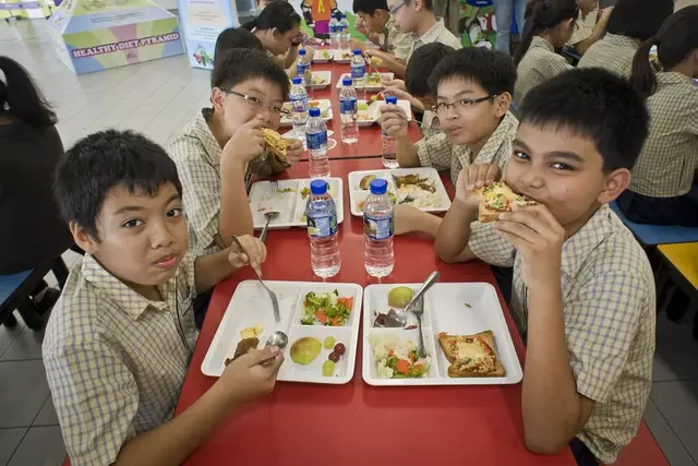 15国学生餐大比拼：看到中国的，娃和我在新加坡都哭了