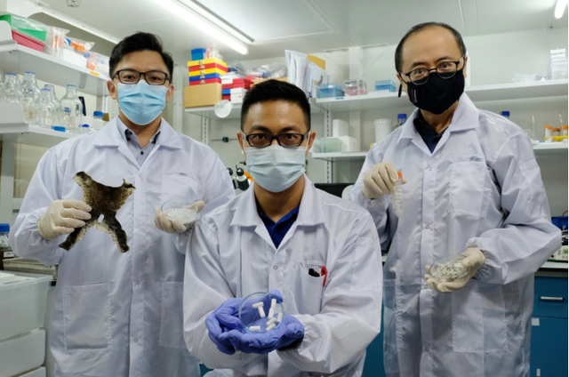 科学家利用废弃的鱼鳞和青蛙皮制作骨骼修复材料