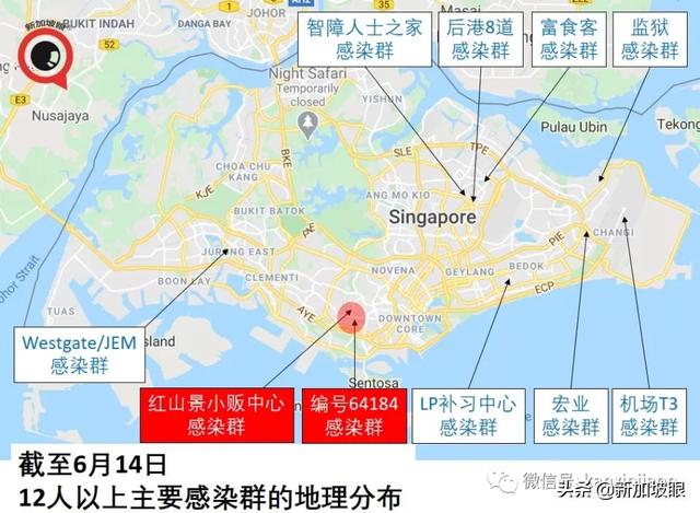 独家发现！新加坡中部首现大型感染群，红山两个感染群存在关联