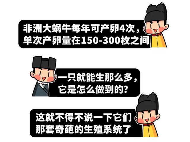 雌雄同体、满身脏物，这种外来生物一度让中国吃货们害怕