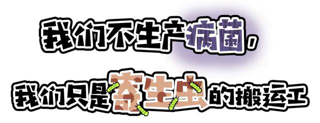 雌雄同体、满身脏物，这种外来生物一度让中国吃货们害怕