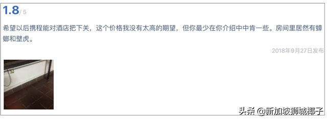 新加坡低价度假村！看完之后，中国游客忍不住吐槽了