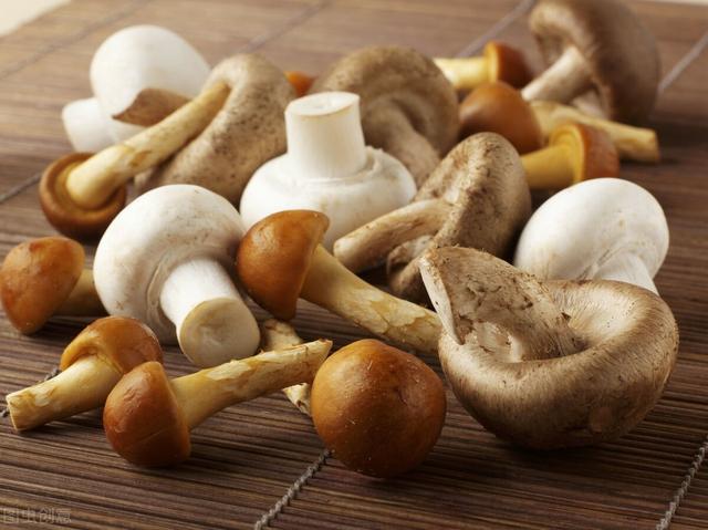 菌菇被列为入“人类最佳饮食结构”，增肌、抗癌、护心脑！这样吃，让你吃出好体魄~