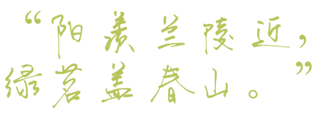 勉斋珍藏紫砂艺术专场精赏#西泠网拍 · 十月线上大拍#