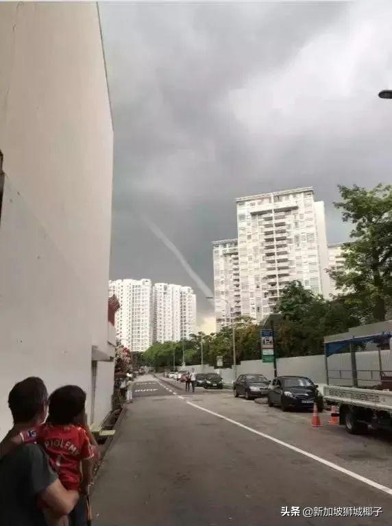 新加坡富豪区这条河变成粉色，惊现大批死鱼！39年罕见暴雨太作