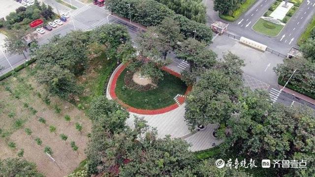 建党百年｜“县委书记的榜样”焦裕禄：不朽老焦，挺立如桐