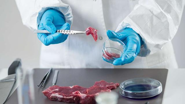 来自实验室的肉类：它是如何培养出来的？