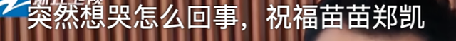 他俩也能嗑到了？郑恺苗苗婚后事业大相径庭，美女别只顾着恋爱啊