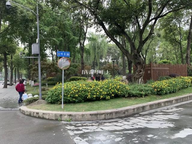 成都公园运维大挑战：三大老牌公园，还能迎来春天吗？