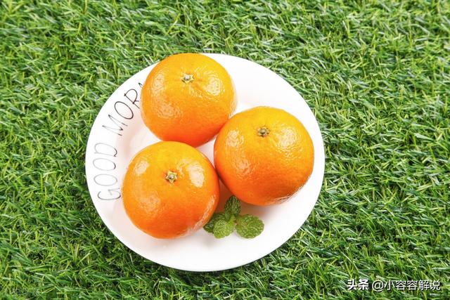 当年我们学过朱自清散文的《背影》中的“橘子”原来是武鸣沃柑