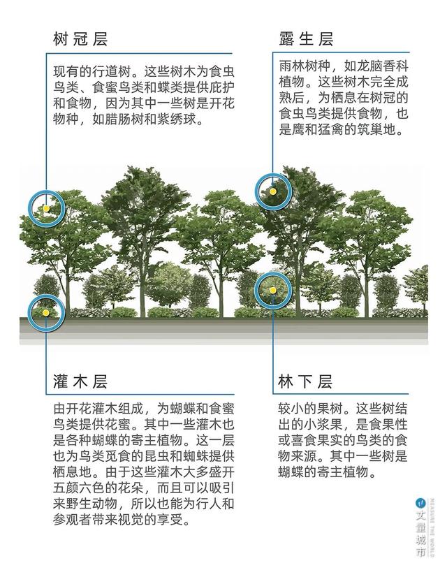 城市绿道，新加坡的「软实力」